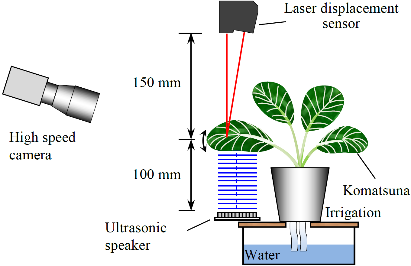 植物固有振動計測